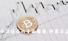 区块链个体项目的全面解