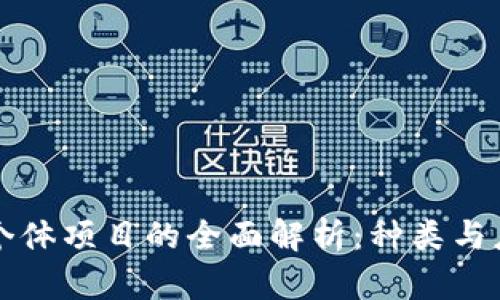 区块链个体项目的全面解析:种类与应用前景