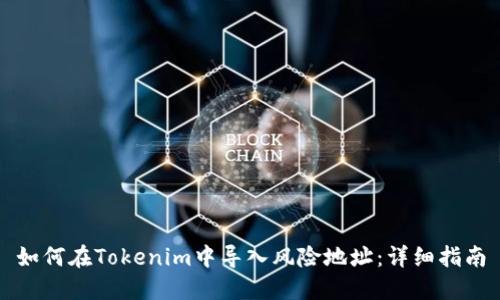 如何在Tokenim中导入风险地址：详细指南