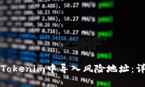 如何在Tokenim中导入风险地址：详细指南
