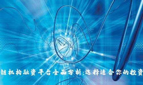 区块链机构融资平台全面分析:选择适合你的投资工具