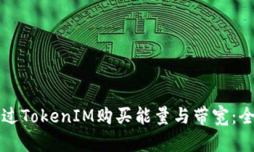 如何通过TokenIM购买能量与带宽：全面指南