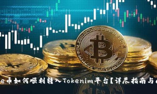 Doge币如何顺利转入Tokenim平台？详尽指南与问答