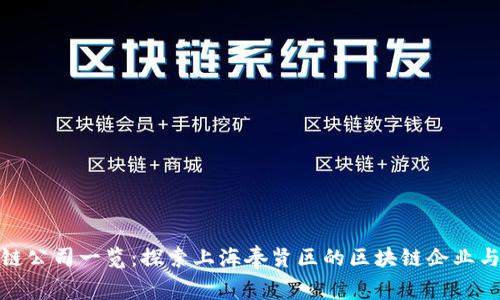 奉贤区块链公司一览:探索上海奉贤区的区块链企业与发展现状
