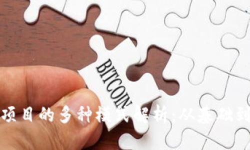 : 区块链项目的多种模式解析:从基础到高级应用