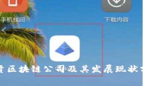 奉贤区块链公司及其发展现状分析