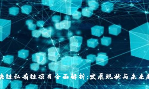区块链私有链项目全面解析:发展现状与未来趋势
