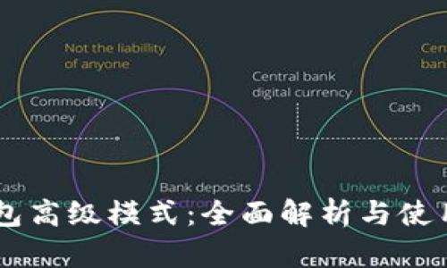 im钱包高级模式:全面解析与使用指南