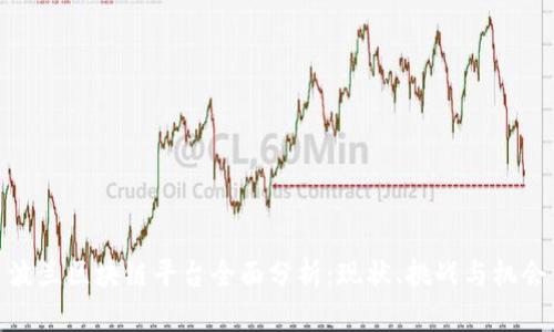 波兰区块链平台全面分析:现状、挑战与机会