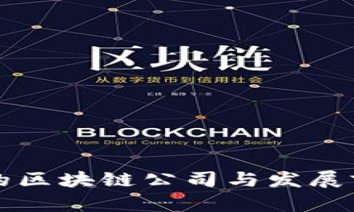 蔡甸区的区块链公司与发展前景分析