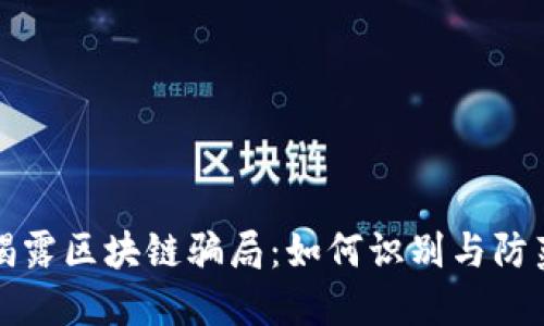 揭露区块链骗局:如何识别与防范