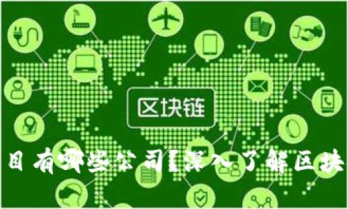 投资区块链项目有哪些公司?深入了解区块链投资的先锋