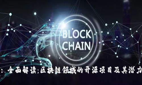 : 全面解读:区块链领域的开源项目及其潜力