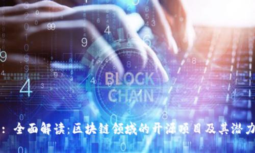 : 全面解读:区块链领域的开源项目及其潜力