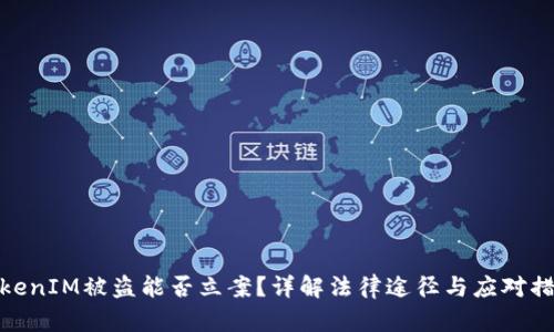 TokenIM被盗能否立案？详解法律途径与应对措施