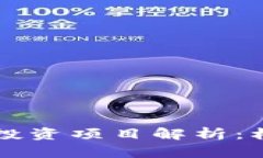 区块链上投资项目解析：