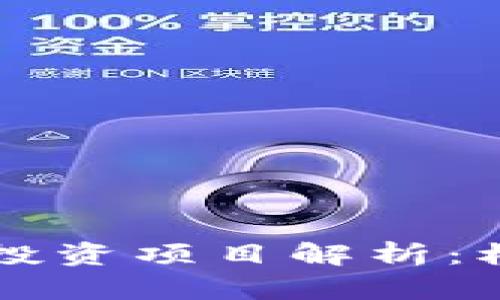 区块链上投资项目解析:机会与挑战