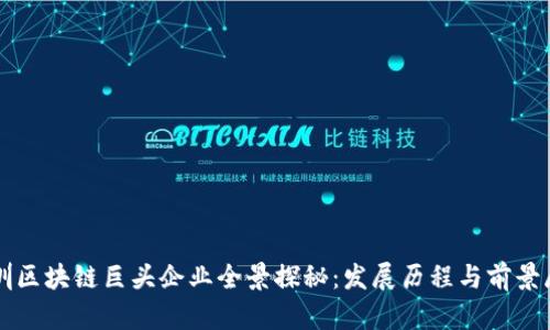深圳区块链巨头企业全景探秘:发展历程与前景展望