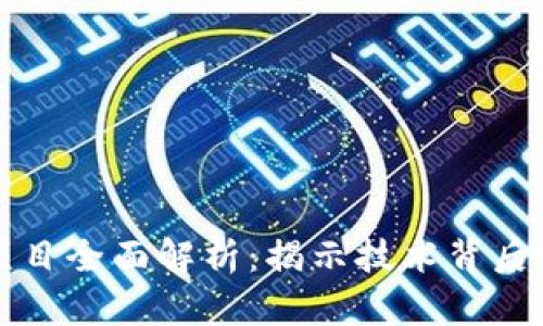 区块链原始项目全面解析:揭示技术背后的运作与价值