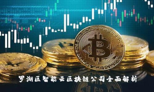 罗湖区智能云区块链公司全面解析