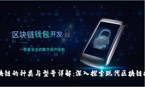 区块链的种类与型号详解:深入探索现代区块链技术