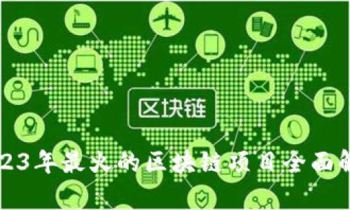 2023年最火的区块链项目全面解析