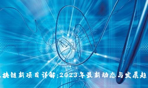 区块链新项目详解:2023年最新动态与发展趋势