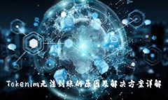 Tokenim无法到账的原因及解