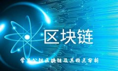 常见公链区块链及其特点