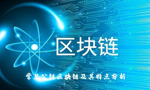 常见公链区块链及其特点分析