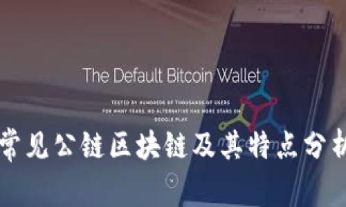 常见公链区块链及其特点分析