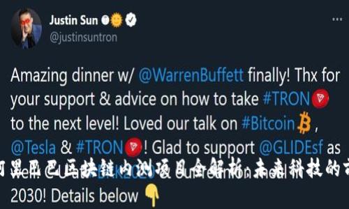 : 阿里巴巴区块链内测项目全解析：未来科技的前沿