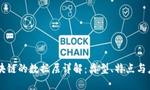 区块链的数据层详解:类型、特点与应用