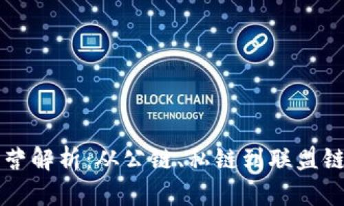 区块链的阵营解析:从公链、私链到联盟链的全景视图