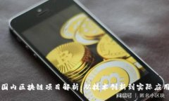 国内区块链项目解析：从