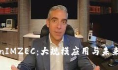 探索TokenIMZEC：大规模应用