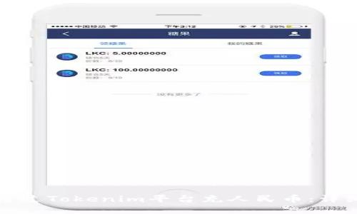 如何通过Tokenim平台充人民币:详细指南