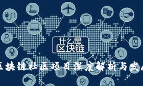 平潭区块链社区项目深度解析与发展趋势