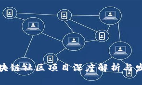 平潭区块链社区项目深度解析与发展趋势