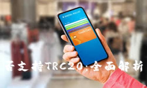 TokenIM是否支持TRC20:全面解析与使用指南