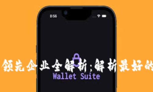 区块链技术领先企业全解析：解析最好的区块链公司