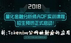 全面解析：Tokenim公网映射
