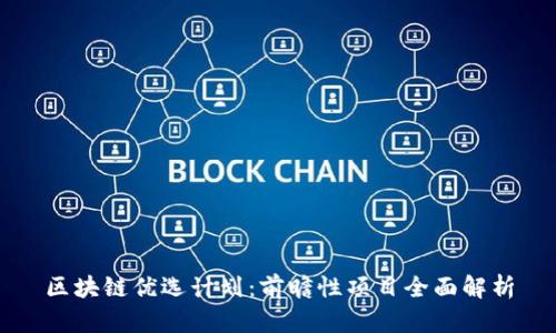 区块链优选计划:前瞻性项目全面解析