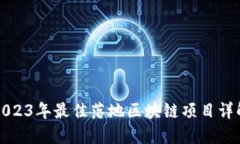 2023年最佳落地区块链项目
