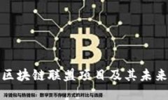 深入探讨区块链联盟项目