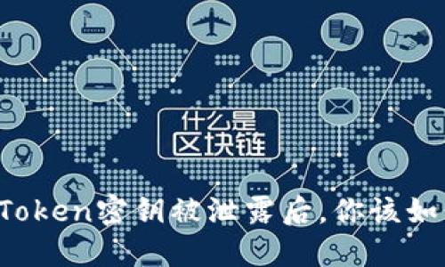 当你的Token密钥被泄露后,你该如何处理?
