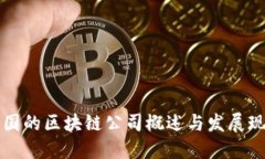 中国的区块链公司概述与