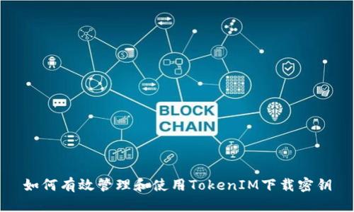 如何有效管理和使用TokenIM下载密钥