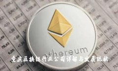 重庆区块链行业公司详解