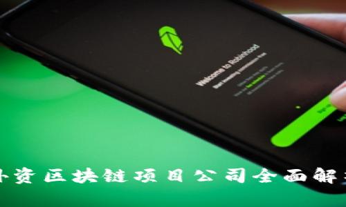 外资区块链项目公司全面解析